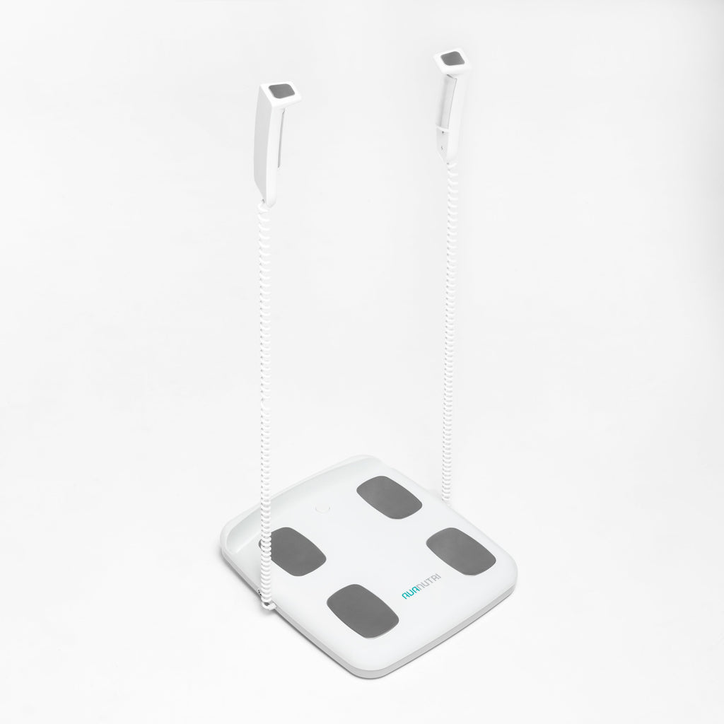 AVABio 380 Bioelectrical Impedance Scale